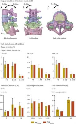 Will the adjustment of insertional pedicle screw positions affect the risk of adjacent segment diseases biomechanically? An in-silico study